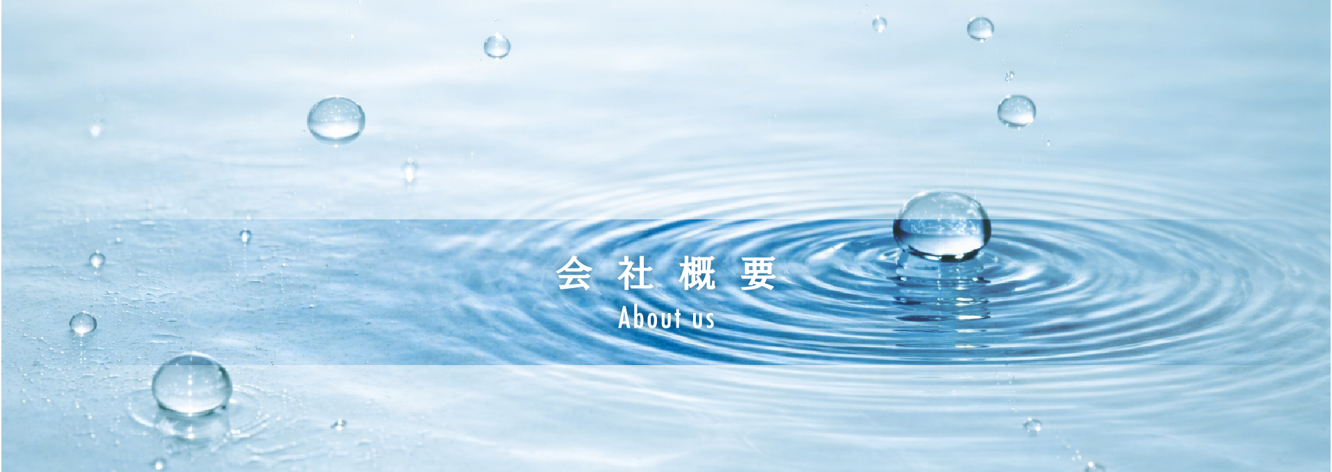 会社概要 About Us